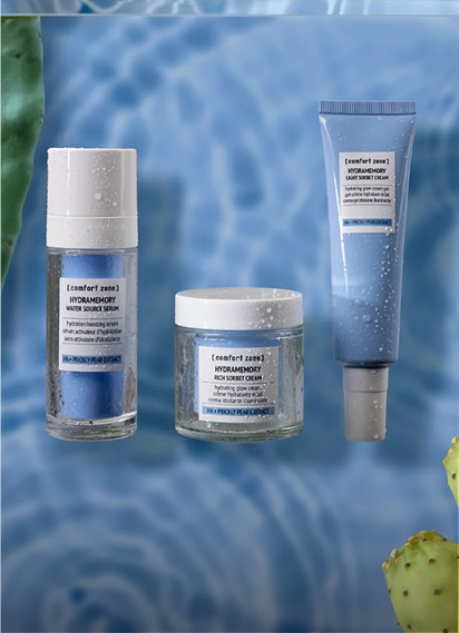 Hydramemory